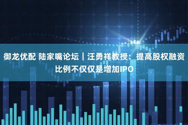 御龙优配 陆家嘴论坛｜汪勇祥教授：提高股权融资比例不仅仅是增加IPO