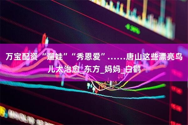 万宝配资 “遛娃”“秀恩爱”……唐山这些漂亮鸟儿太治愈_东方_妈妈_白鹳