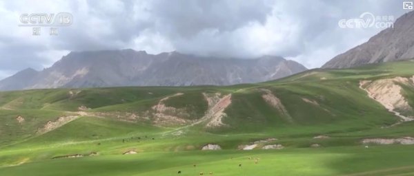 通达配资 天山牧场、油菜花海、湿地漂流……大美中国夏日风光美如画 农文旅融合绘新景